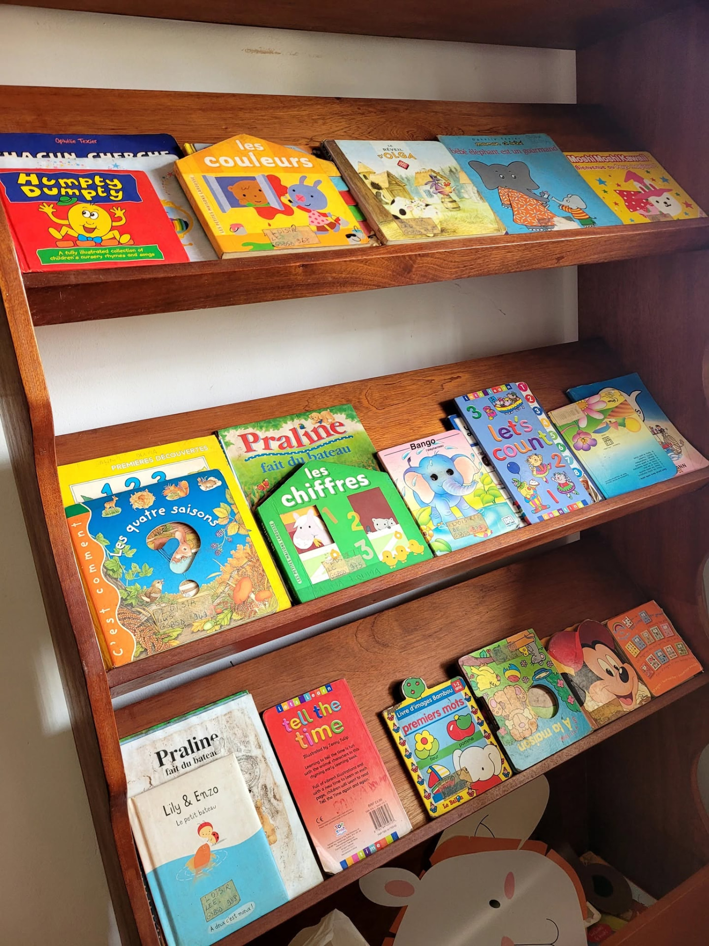 Étagères de la bibliothèque garnies de livres pour enfants